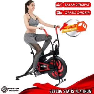 Platinum Bike Sepeda Status 2 Mode