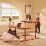 A stylish home office setup with adjustable desks, yoga ball seating, and a serene view.