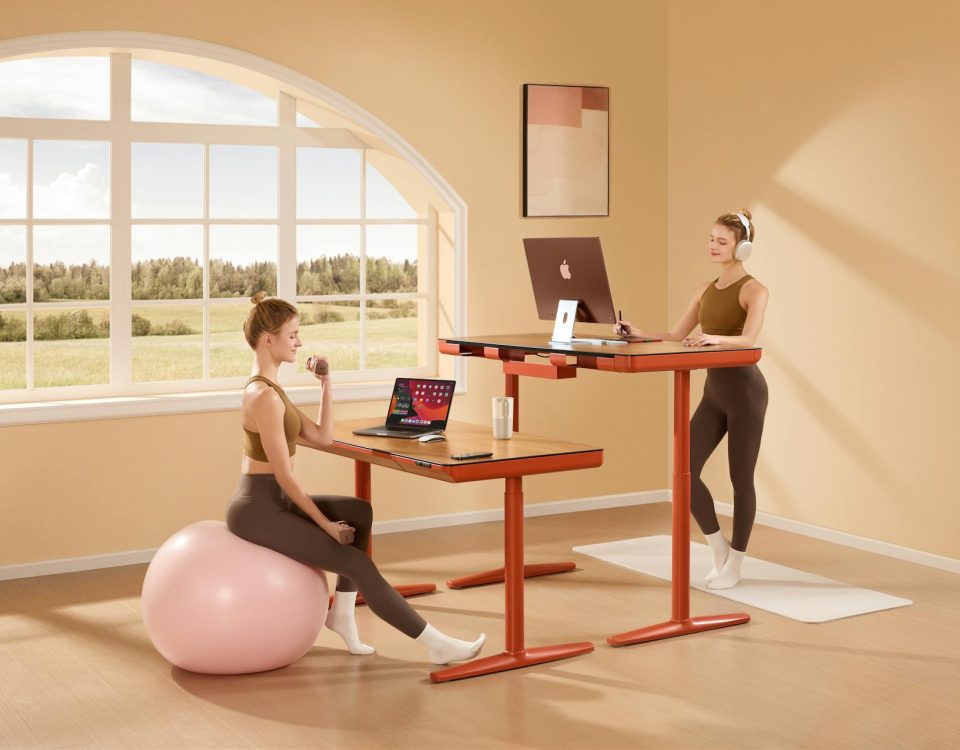 A stylish home office setup with adjustable desks, yoga ball seating, and a serene view.