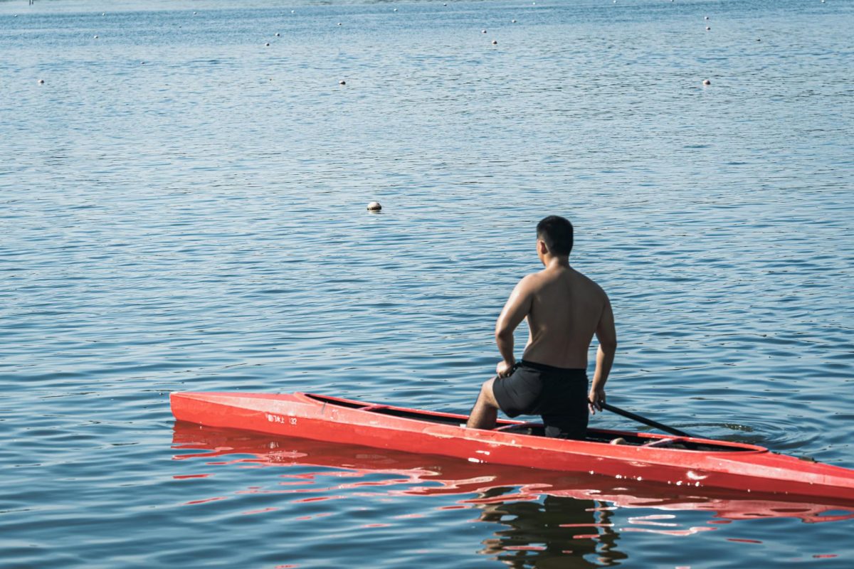 Free stock photo of kayak, sea