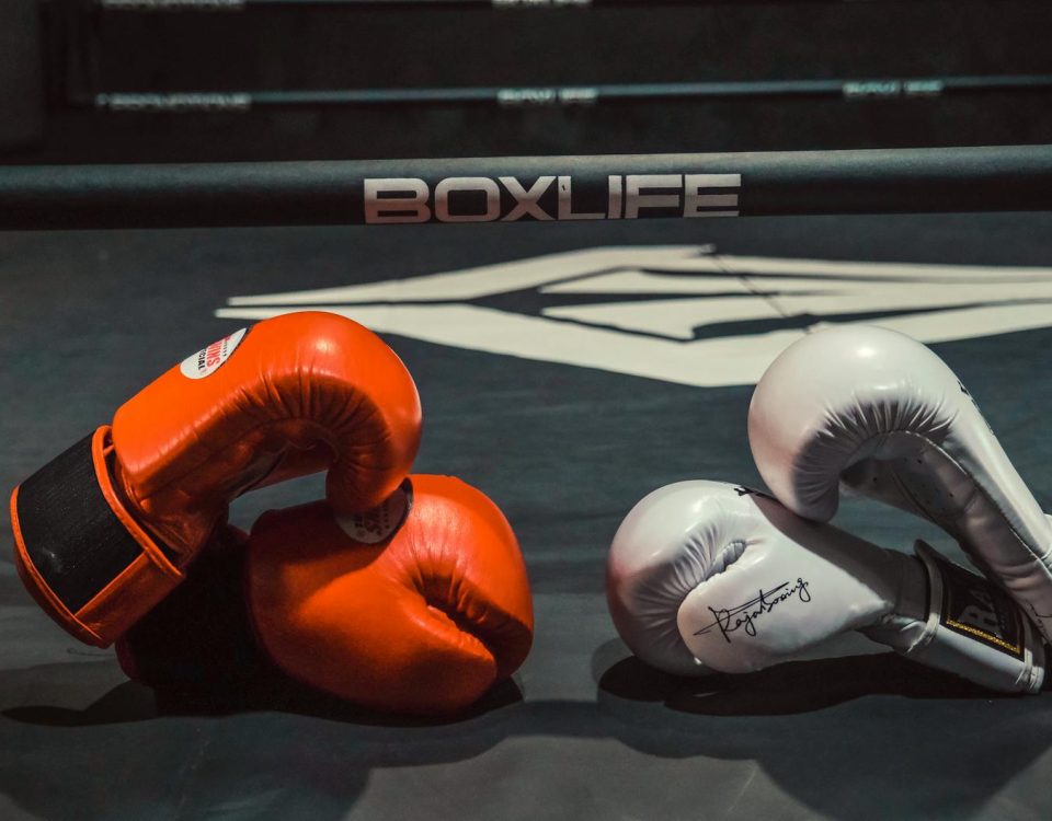 Pair of red and white boxing gloves in a boxing ring, emphasizing sportsmanship and rivalry.