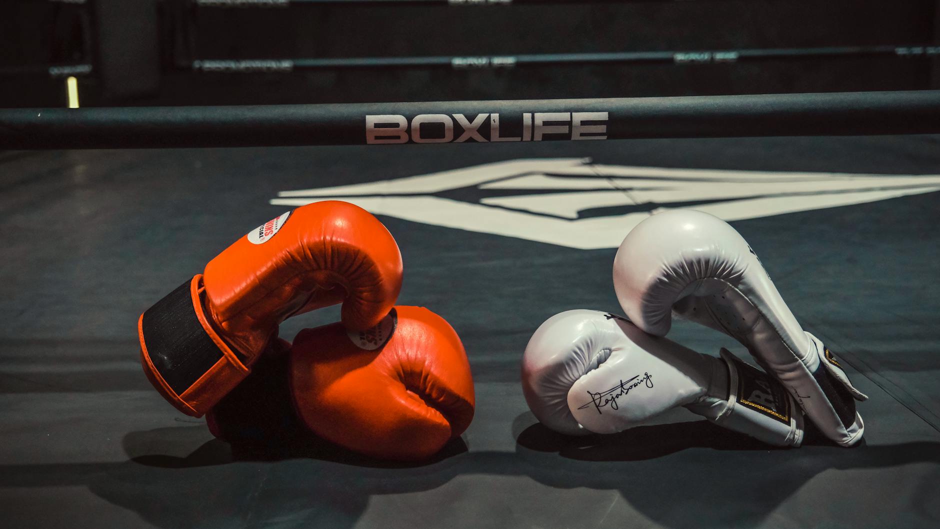 Pair of red and white boxing gloves in a boxing ring, emphasizing sportsmanship and rivalry.