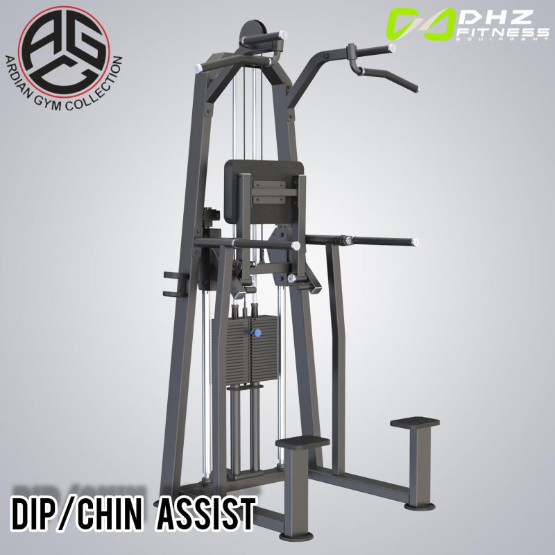 Dip/Chin Assist U3009C