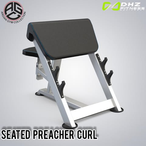 Seated Preacher Curl U3044
