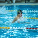 Free stock photo of competitive swimming