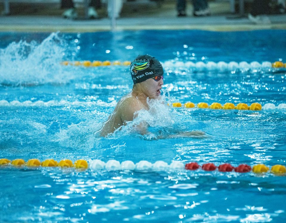 Free stock photo of competitive swimming
