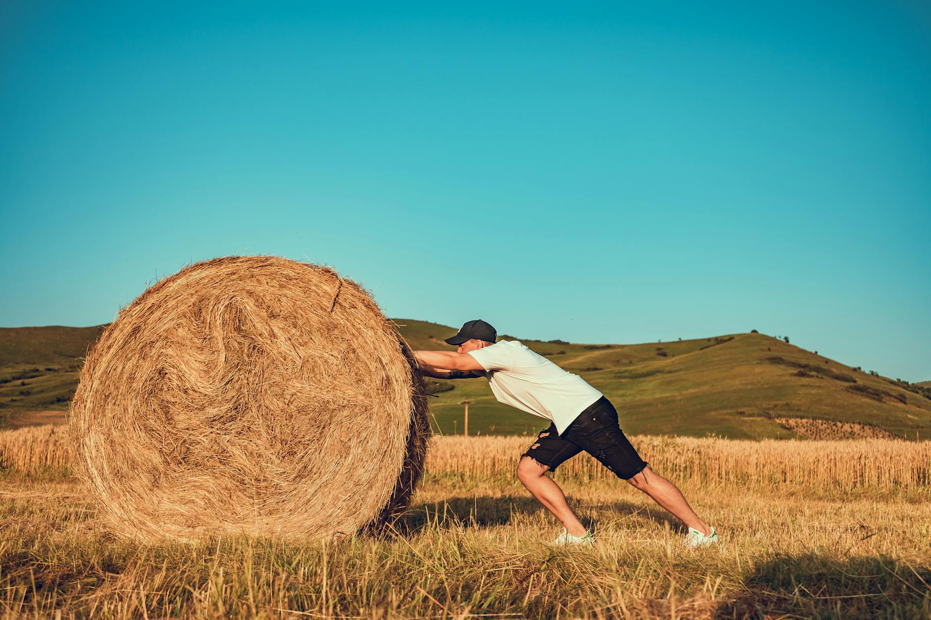 A man energetically pushing a large hay bale in a sunny countryside field.